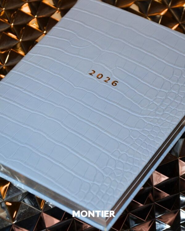 Alternative view of 2026 darbo knyga LUNA